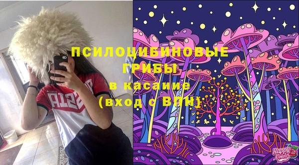амф Абаза