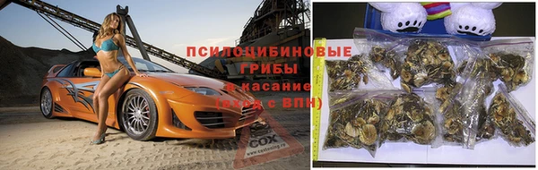 spice Абинск